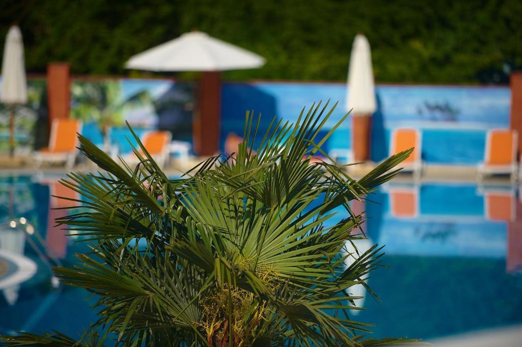 Grand-Marine Hotel & Spa Burlatsja Balka Eksteriør bilde